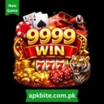 999win Game APK Download – for iOS and Android Users 27 999win game