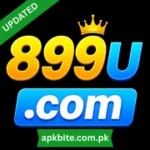 899U Game APK Download for Android and iOS in Pakistan 8 899u game