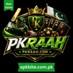 PKRaah Game Review: Complete Guide for Pakistani Players 15 pkraah game